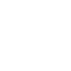 Network Icon