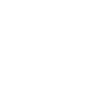Ziel Icon